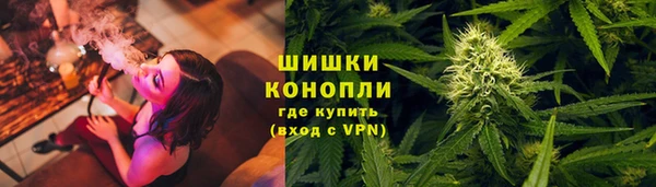 амф Новозыбков