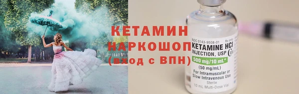 амф Новозыбков