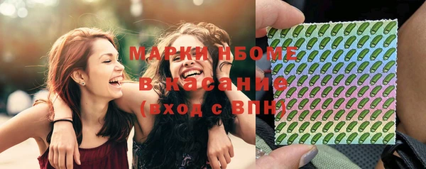 амф Новозыбков