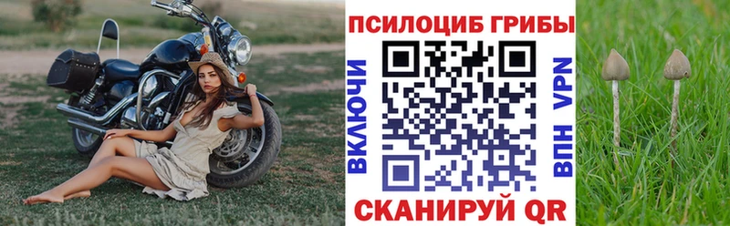 МЕГА   Нефтекумск  Псилоцибиновые грибы GOLDEN TEACHER 
