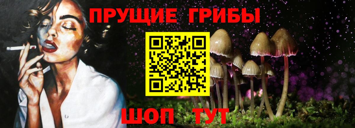 Псилоцибиновые грибы Magic Shrooms Нефтекумск