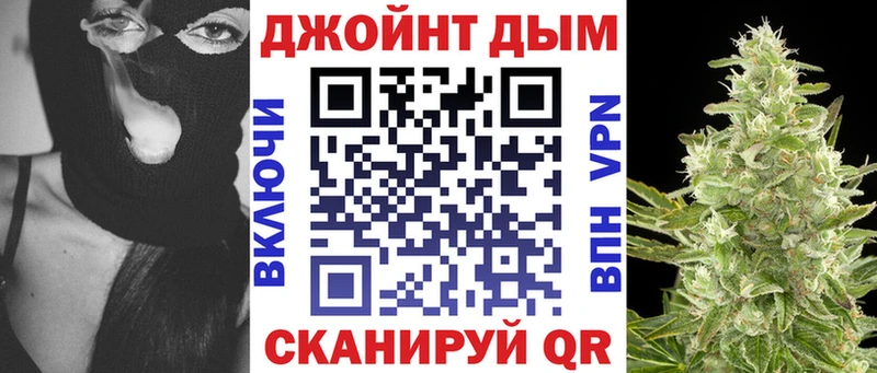Канабис сатива  Нефтекумск 